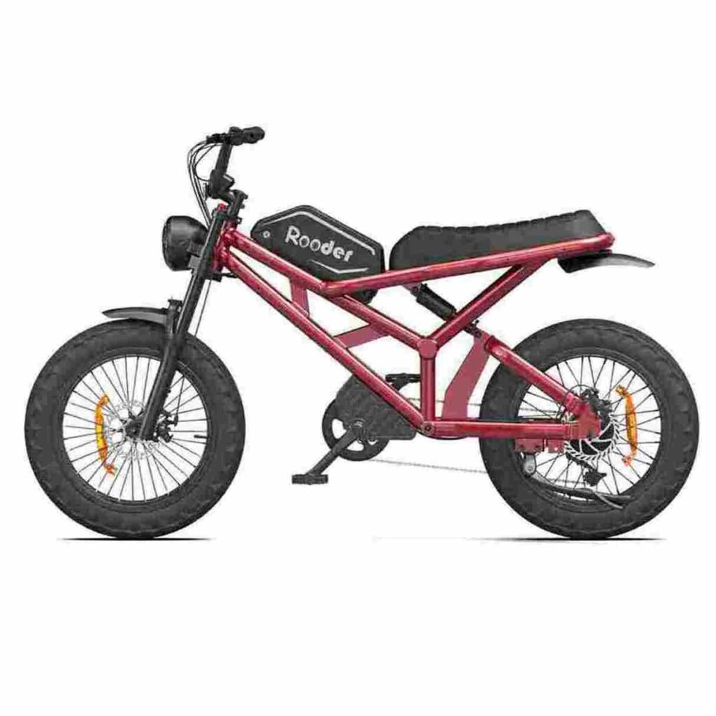 Fat Bike Eléctrica Snow Rooder España